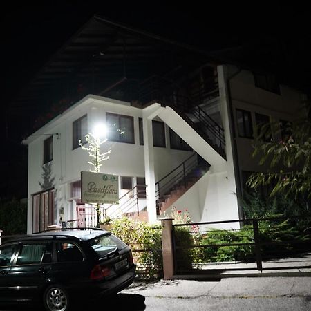 Passiflora Hotel Voineasa Luaran gambar